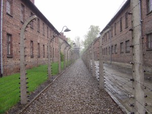 2006-05-01 Auschwitz 7