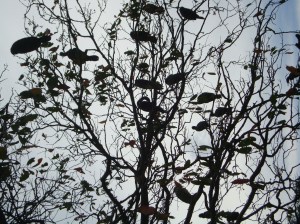 ???????????????????????????????