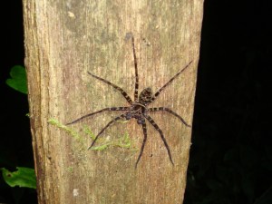 ???????????????????????????????