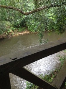 Batang Ai from long house