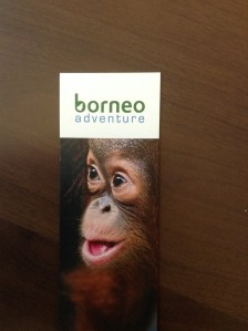 Borneo Adventure