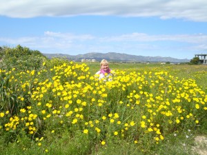 ???????????????????????????????