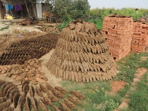 2015-02-19 Ganges 35 Sherpa Village