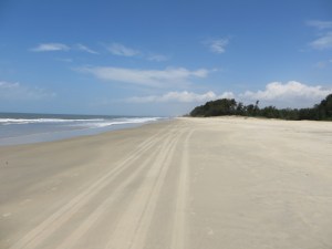 2015-03-02 Goa 01 Benaulim