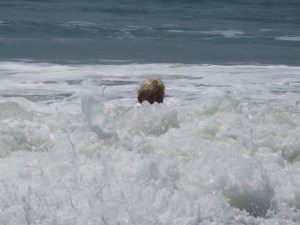 2015-03-12 Goa 04 Benaulim