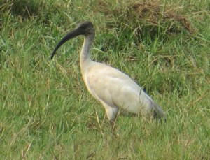 ???????????????????????????????