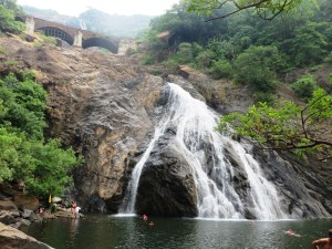 2015-03-30 Goa 11 Bhagwan Mahaveer Nat Park