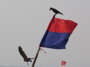 2015-03-31 Goa 21 Benaulim