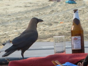 2015-03-31 Goa 23 Benaulim