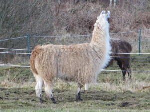 ???????????????????????????????