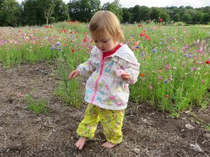 2015-07-23 Trentham Gardens 30