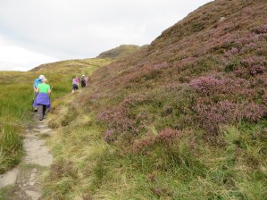 2014-09-19 Ben Lomond 02 - Copy