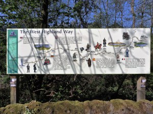 2016-05-10 WHW Milngavie to Drymen 5