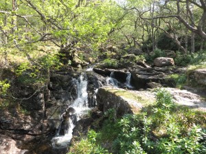 2016-05-12 WHW Rowardennan to Inverarnan 13