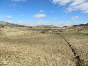 2016-05-15 WHW Bridge of Orchy to Kingshouse 21