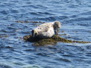 2006-06-25 Colonsay Island 16