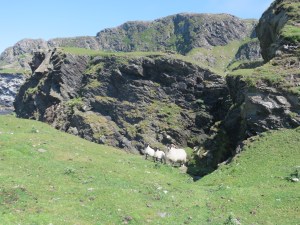 2006-06-25 Colonsay Island 29