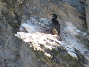 2006-06-25 Colonsay Island 31