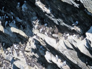 2006-06-25 Colonsay Island 32