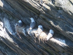 2006-06-25 Colonsay Island 35