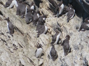 2006-06-25 Colonsay Island 37