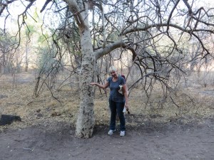 2016-08-15 Tsodilo 11