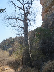 2016-08-15 Tsodilo 15