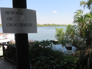 2016-08-18 b MoTNP 02