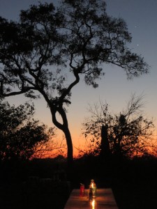 2016-08-25 Moremi Game Reserve 74 Sunset