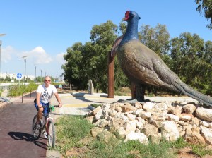 2016-10-22-cn-iskele-1