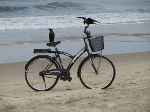 2015-03-01-goa-01-benaulim-crow-bikers