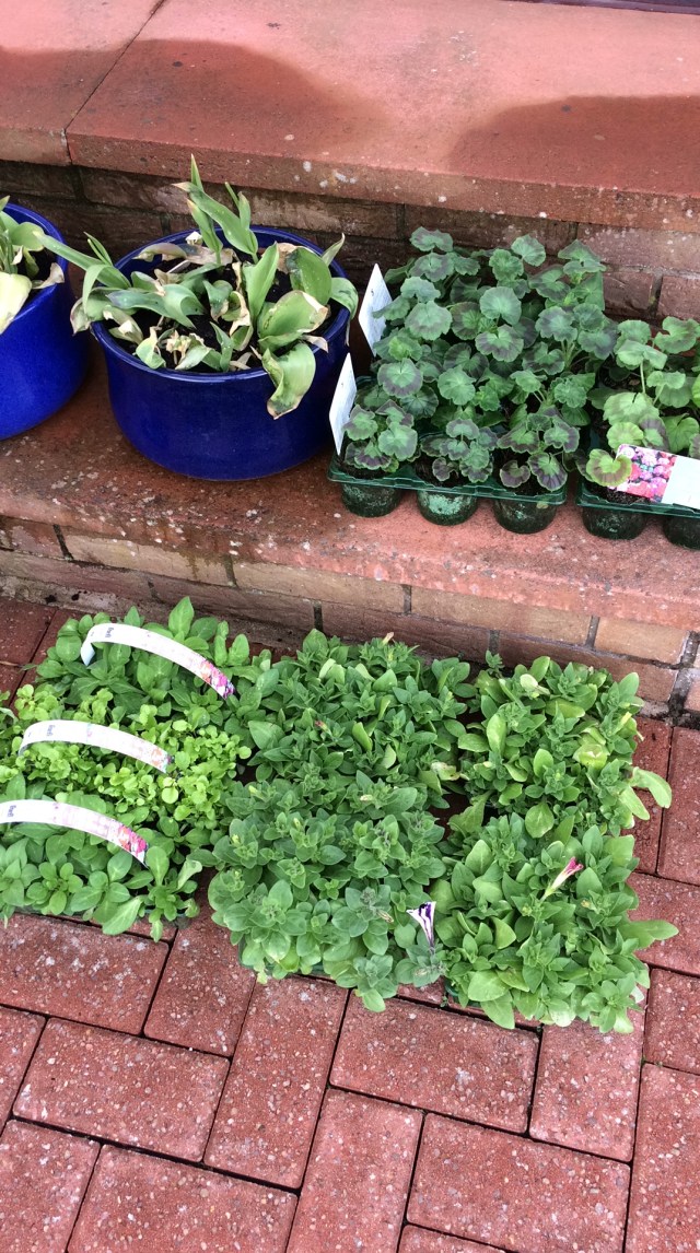 c295e610-bdef-4564-8707-46d9419bdbbf