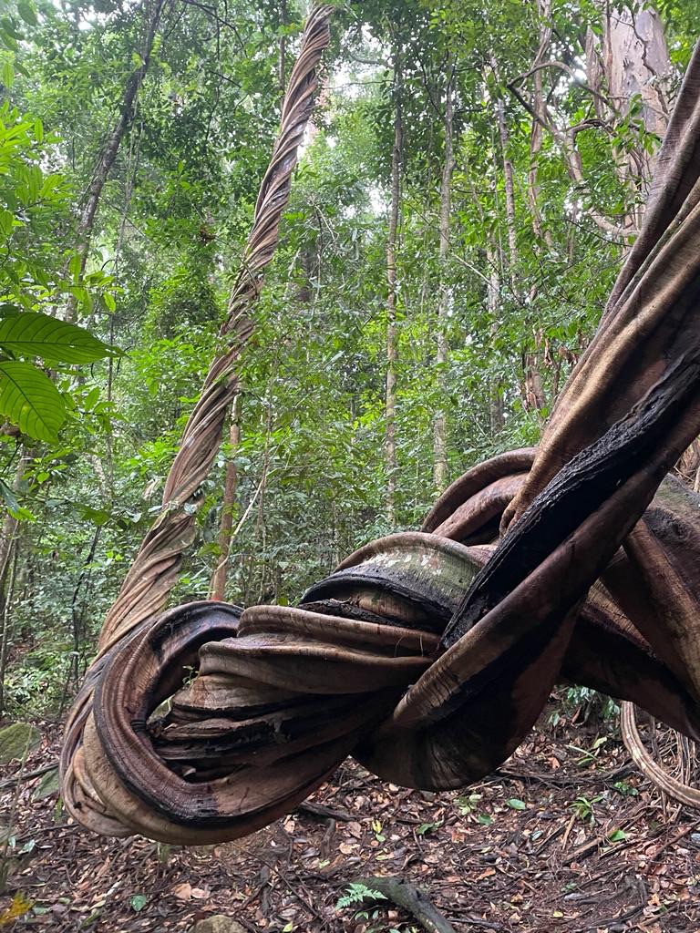 3f7c4f20-0a8c-45d1-b084-b800922028b7